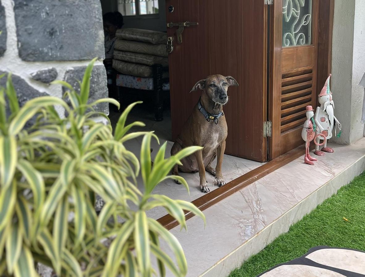 Angel House -Your Private Pet Friendly Haven Lonavala Exterior foto